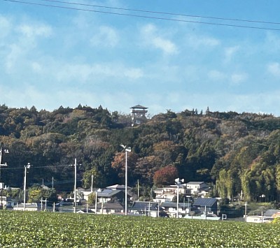 桜山展望台