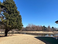 彩の森